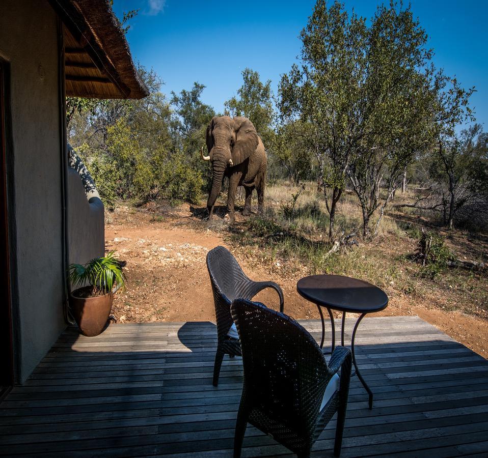 Villa Garonga Safari Makalali Game Reserve Exterior foto